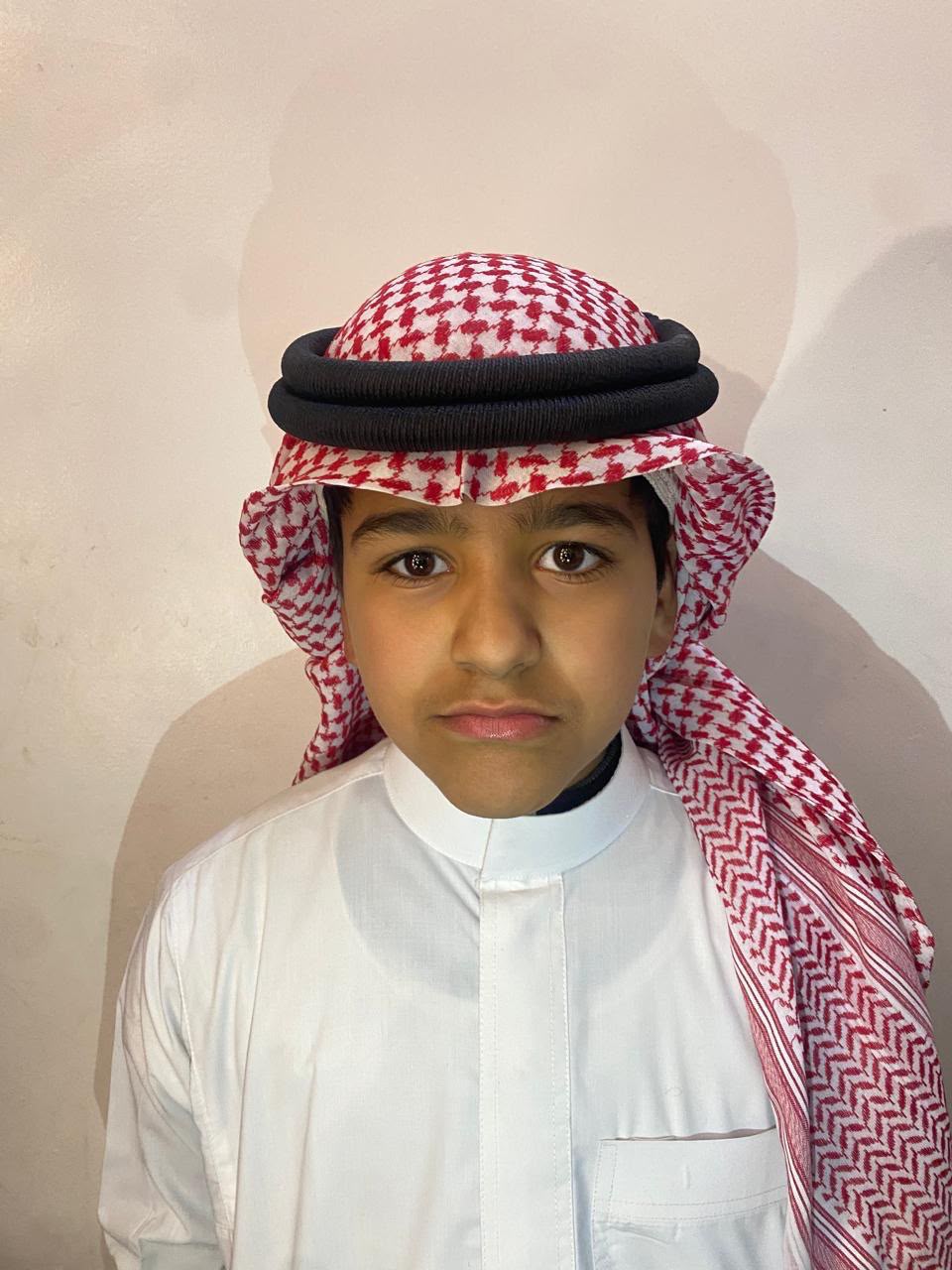 سلامة محمد سلامة